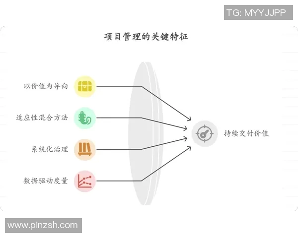 《基于数据分析的个人项目管理与优化研究探索：从规划到实施的全过程解析》