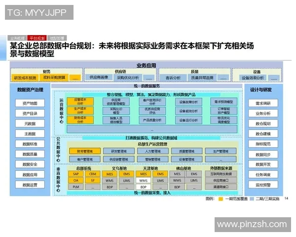 《基于数据分析的个人项目管理与优化研究探索：从规划到实施的全过程解析》